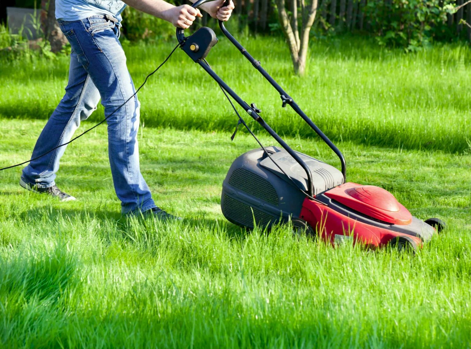 mow-mow-mow-your-lawn-the-ultimate-guide-to-gas-vs-electric-mowers