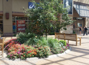 Flower Beds in Strip Mall