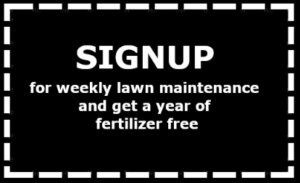 Signup for weekliy LAWN MANTENANCE and get a year of FREE fertilizer treatments!