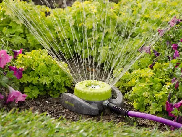 Techniques for Professional Lawn Maintenance Water Conservation