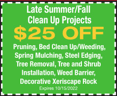 $25 Off Cleanup Projects