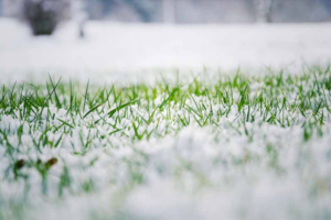 Salt Lake City winter lawn care