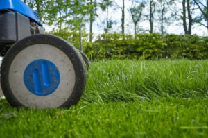 Salt Lake City Lawn Mower