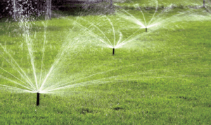 Salt Lake City Sprinkler