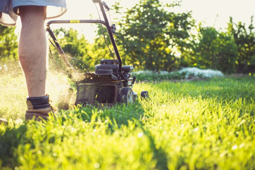 Service Your Lawn Equipment