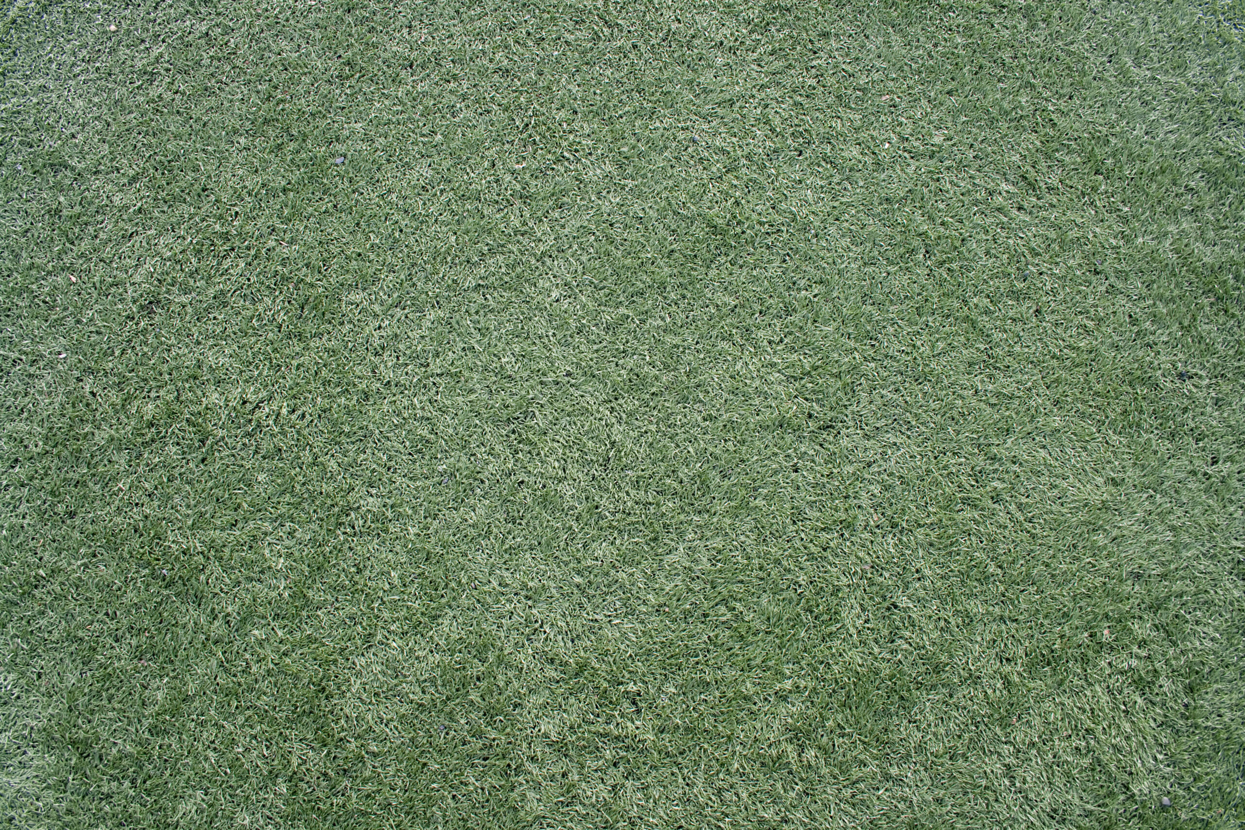 Close-up of lush green artificial turf surface.