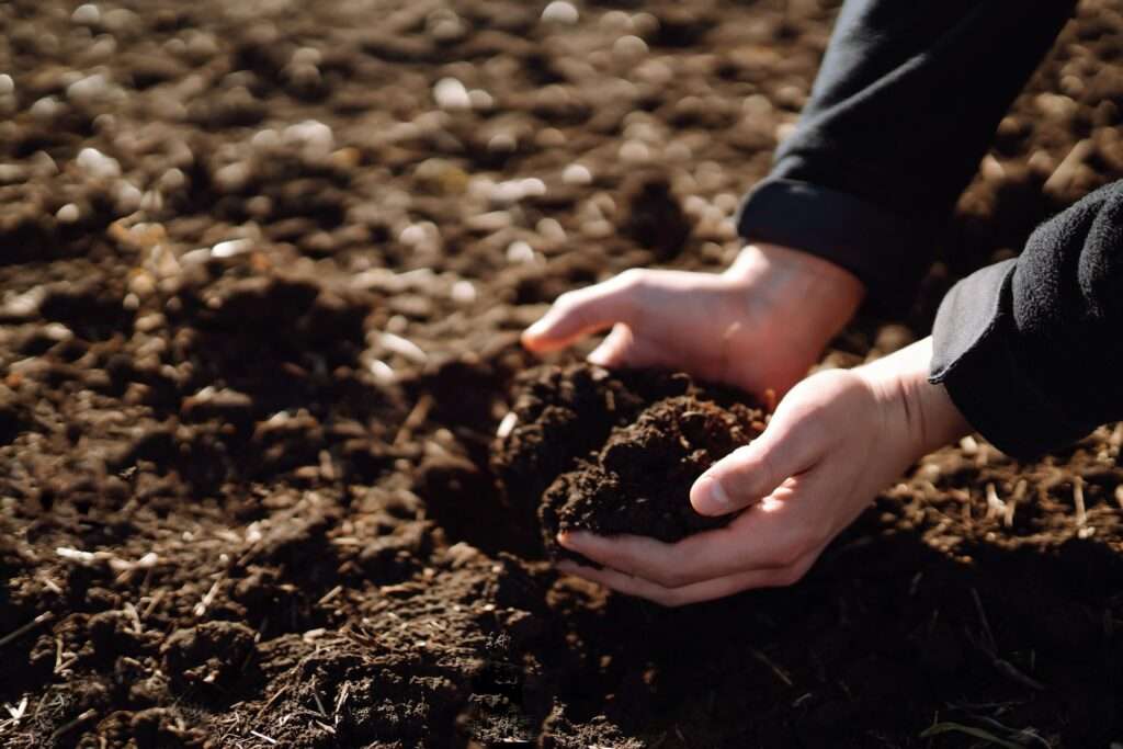 Hand of expert farmer collect soil. Farmer is checking soil quality before sowing. Ecology concept.