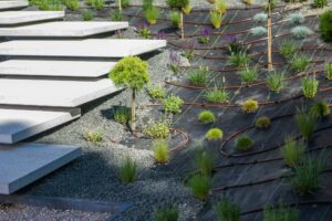 Modern Landscape Design With Steps and Diverse Plants and Drip Irrigation Pipelines
