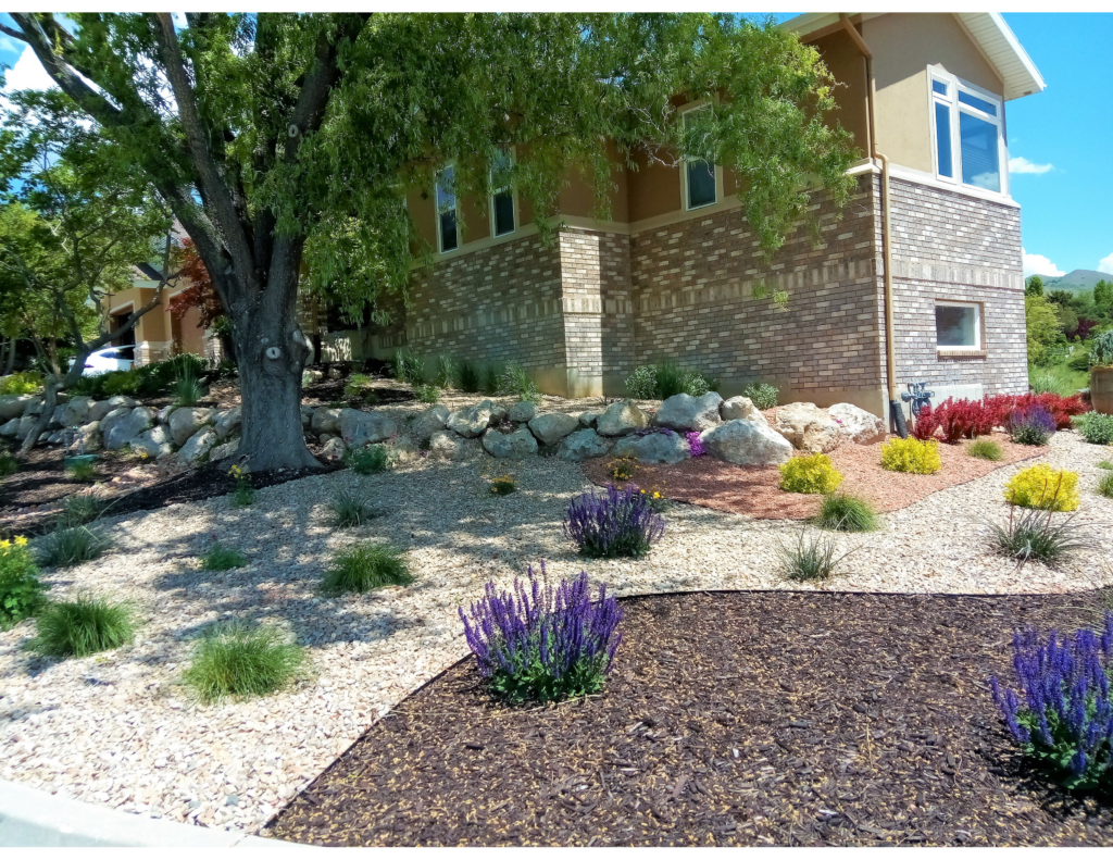 Drought-Resistant Landscaping