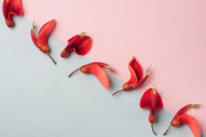 lovely-flowers-concept-with-elegant-style