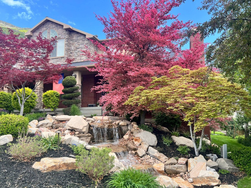 Front yard landscape design featuring a stone waterfall, ornamental Japanese maple trees, and a custom landscaped home exterior
