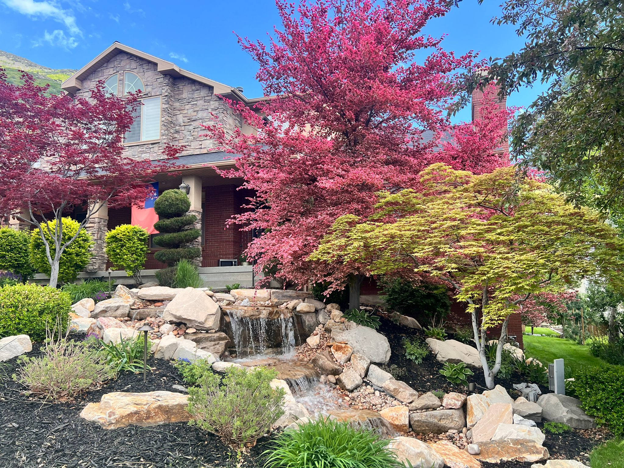 Front yard landscape design featuring a stone waterfall, ornamental Japanese maple trees, and a custom landscaped home exterior