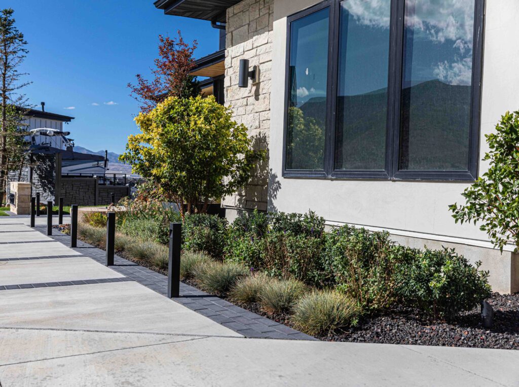 East Millcreek Utah yard near Mill Creek Canyon planted with deer-resistant Russian sage lavender and penstemon with canyon ridgeline visible above fence