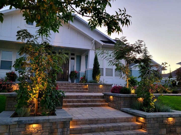 Moonlighting technique illuminates mature elm canopy in Millcreek, Utah landscape lighting design